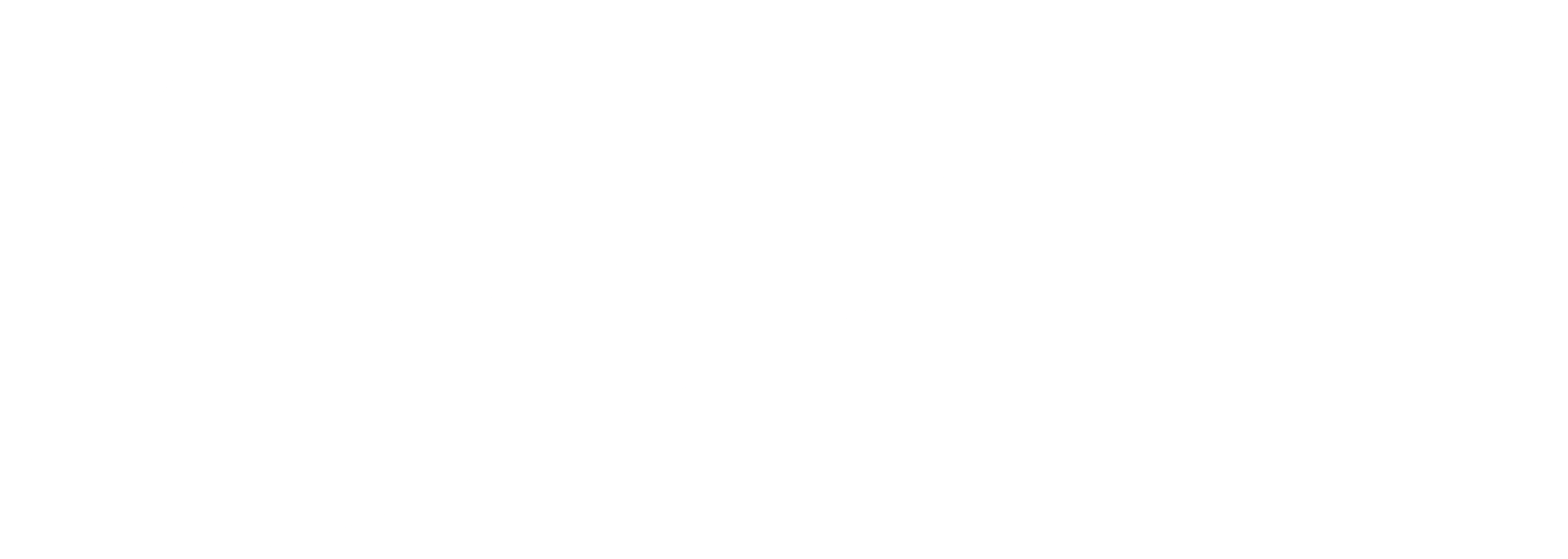.Nike